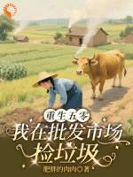 重生五零：我在批发市场捡垃圾