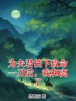 为夫君挡下致命一刀后，我和离了