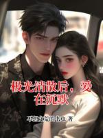 极光消散后，爱在沉默