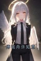 傅铭舟许知意