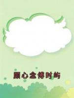 顾心念傅时屿