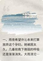 悔叫宋焰老公,许沁艰难破局