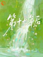 第十七年后