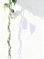 新同事谎称能听到我心声后