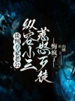 谈判专家老公纵容小三惹怒歹徒，悔疯了