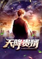 天降贵婿