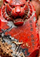 长生石，赤血玉！