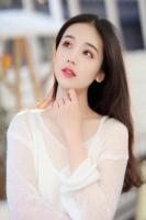 黄玫瑰花海与蝶