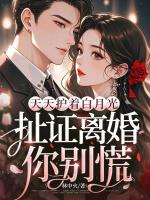 天天护着白月光，扯证离婚你别慌