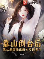 靠山倒台后，我从基层派出所大步进省厅