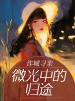 诈城寻亲：微光中的归途