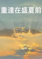 重逢在盛夏前