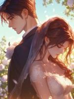 不见山河不见你