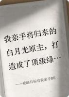 攻略目标后我亲手BE