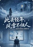 此去经年，风雪不归人