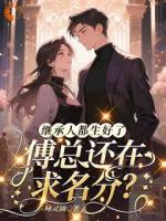 继承人都生好了，傅总还在求名分