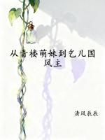 从青楼萌妹到乞儿国风主