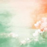 不期待，亦不失望