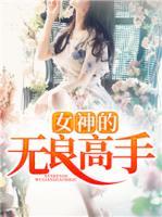 女神的无良高手