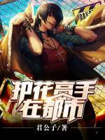 护花高手在都市