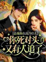 总裁你在高冷什么，你死对头又有人追了