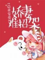 总裁索爱：娇妻难招架