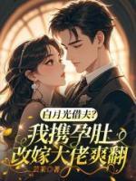 白月光借夫？我携孕肚改嫁大佬爽翻