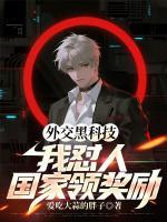 外交黑科技：我怼人，国家领奖励