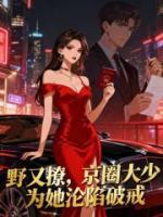 野又撩，京圈大少为她沦陷破戒