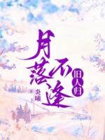 月落不逢旧人归