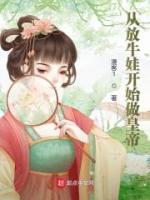 从放牛娃开始做皇帝