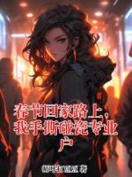 春节回家路上，我手撕碰瓷专业户