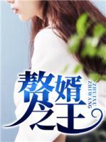 赘婿之王
