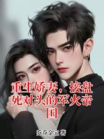 重生娇妻，接盘死对头的军火帝国