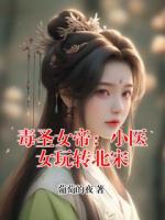 毒圣女帝：小医女玩转北宋