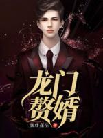 龙门赘婿