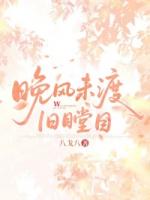 晚风未渡旧瞠目