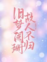 旧梦阑珊，故人不归