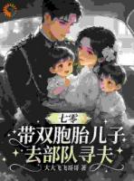 七零：带双胞胎儿子去部队寻夫