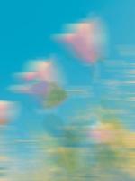 寸草已报三春晖