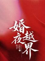 婚夜越界