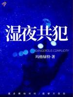 湿夜共犯