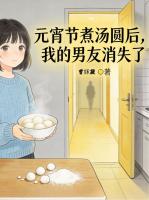 元宵节煮汤圆后，我的男友消失了