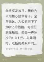 年终发0.1元同事拿88万，撤走核心技术，老板瞬间破防