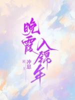 晚霞入锦年