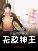 冰山总裁的无敌神王