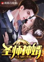 圣师神婿